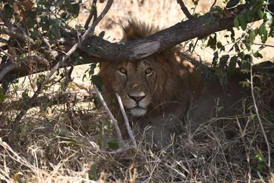 DSC_3571 (Large).JPG